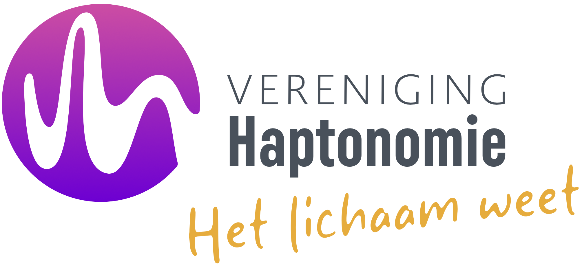 VH logo hor